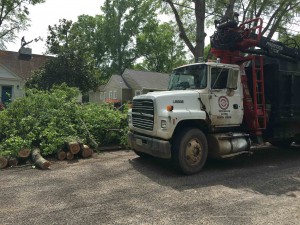Tree Removal in Montgomery AL